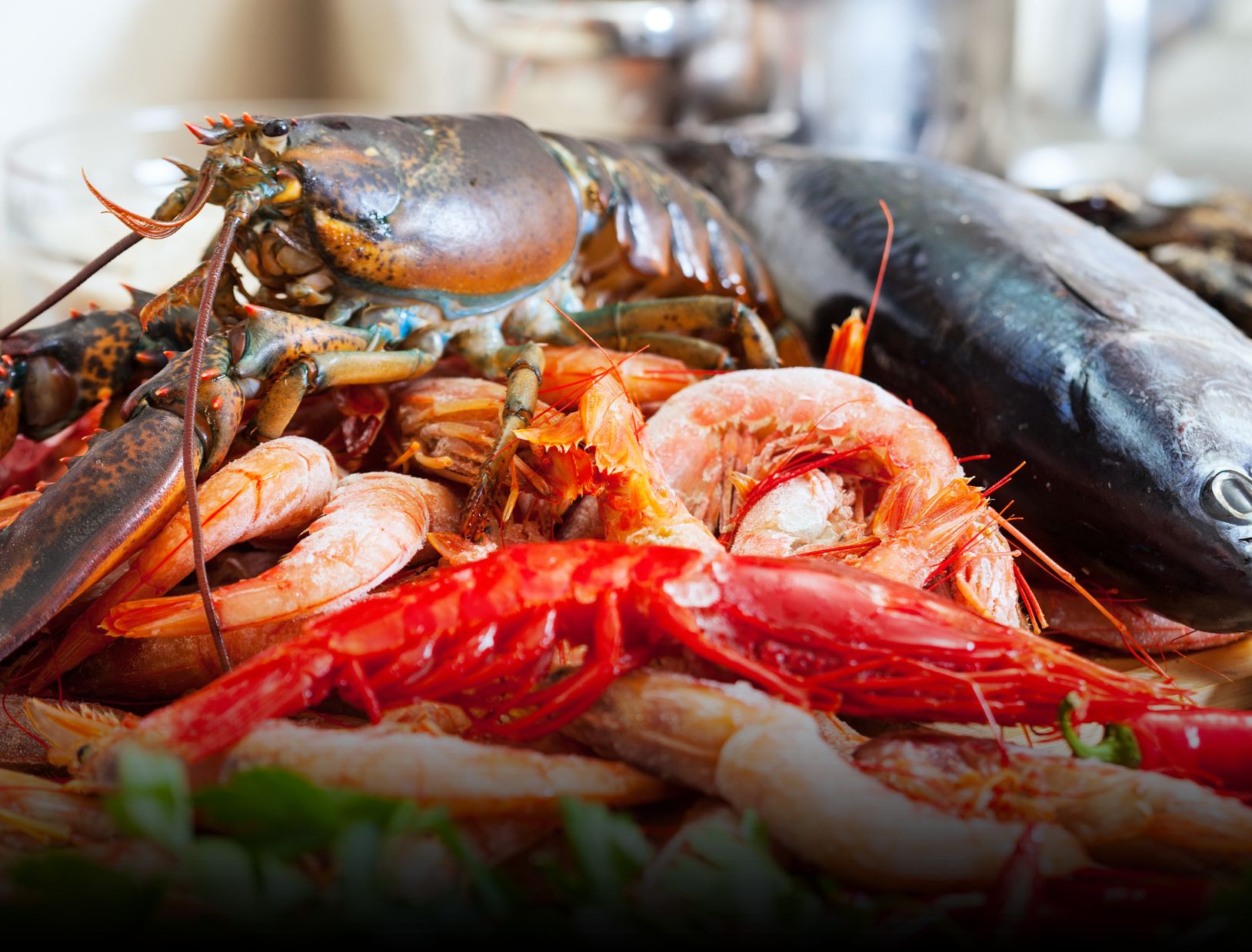 The Vibrant Fish Markets of Lagos